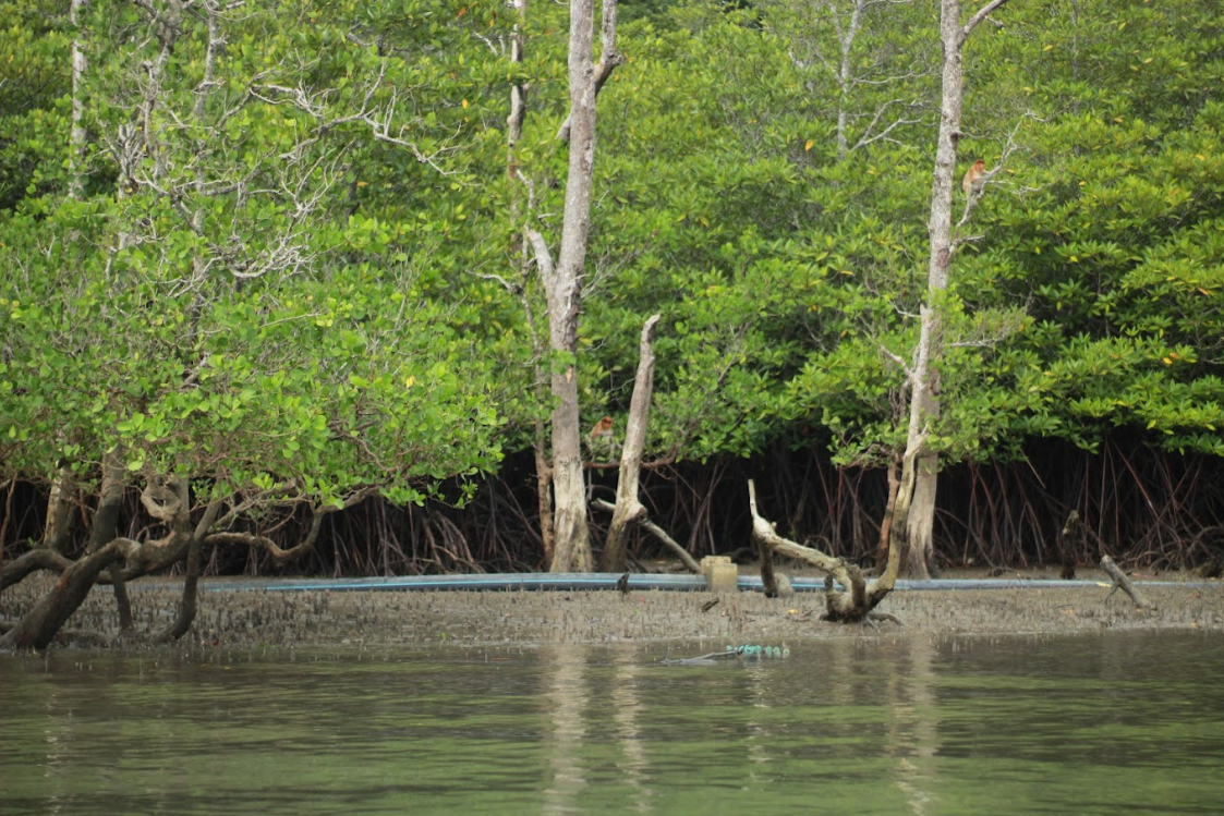 Kuching Wetlands